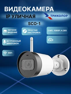 Видеокамера IP уличная SCO-1 Full HD 1080p Триколор 269276059 купить за 2 958 ₽ в интернет‑магазине Wildberries